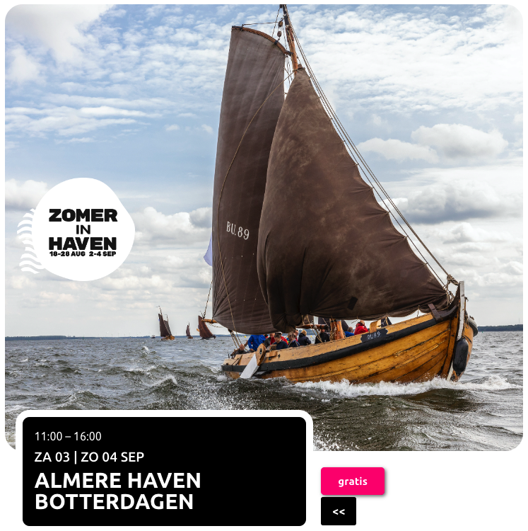 Zomer in Haven